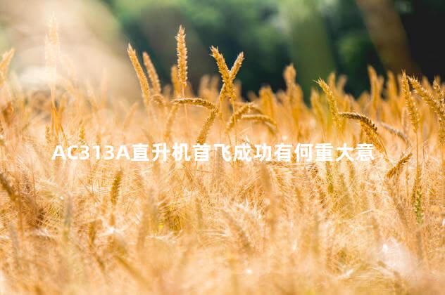 AC313A直升机首飞成功有何重大意义 挂它几个都不是事